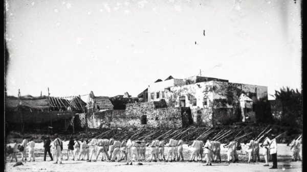 Parade des troupes de sultan Saïd Ali devant la mosquée du vendredi de Mroni, 1884. ©️ MNHN