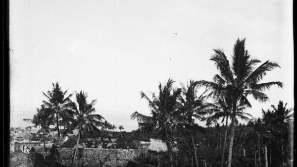 Forteresse de Mroni, côté nord de la baie, en 1884 ©️ MNHN