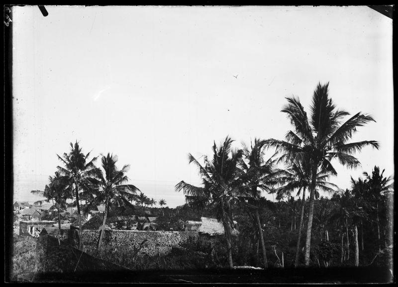 Forteresse de Mroni, côté nord de la baie, en 1884 ©️ MNHN