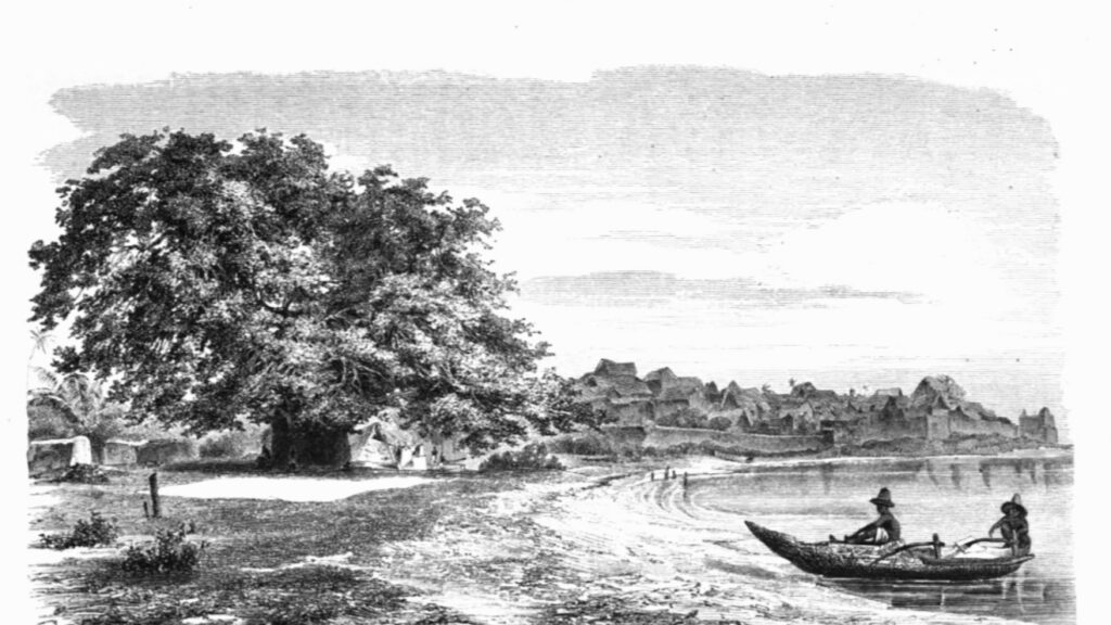 Vue sur la plage d'Itsandraya Mdjini, avec son célèbre baobab et une portion du fort, en avril 1864, image capturée par Otto Kersten.
